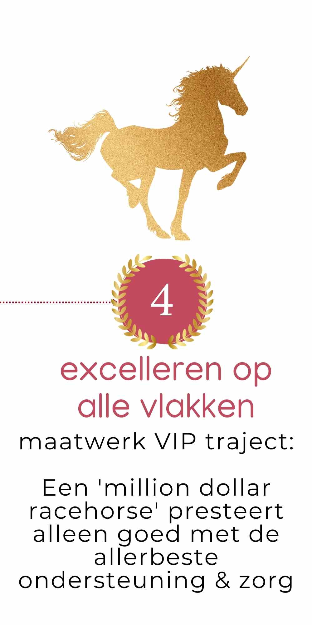 stap 4